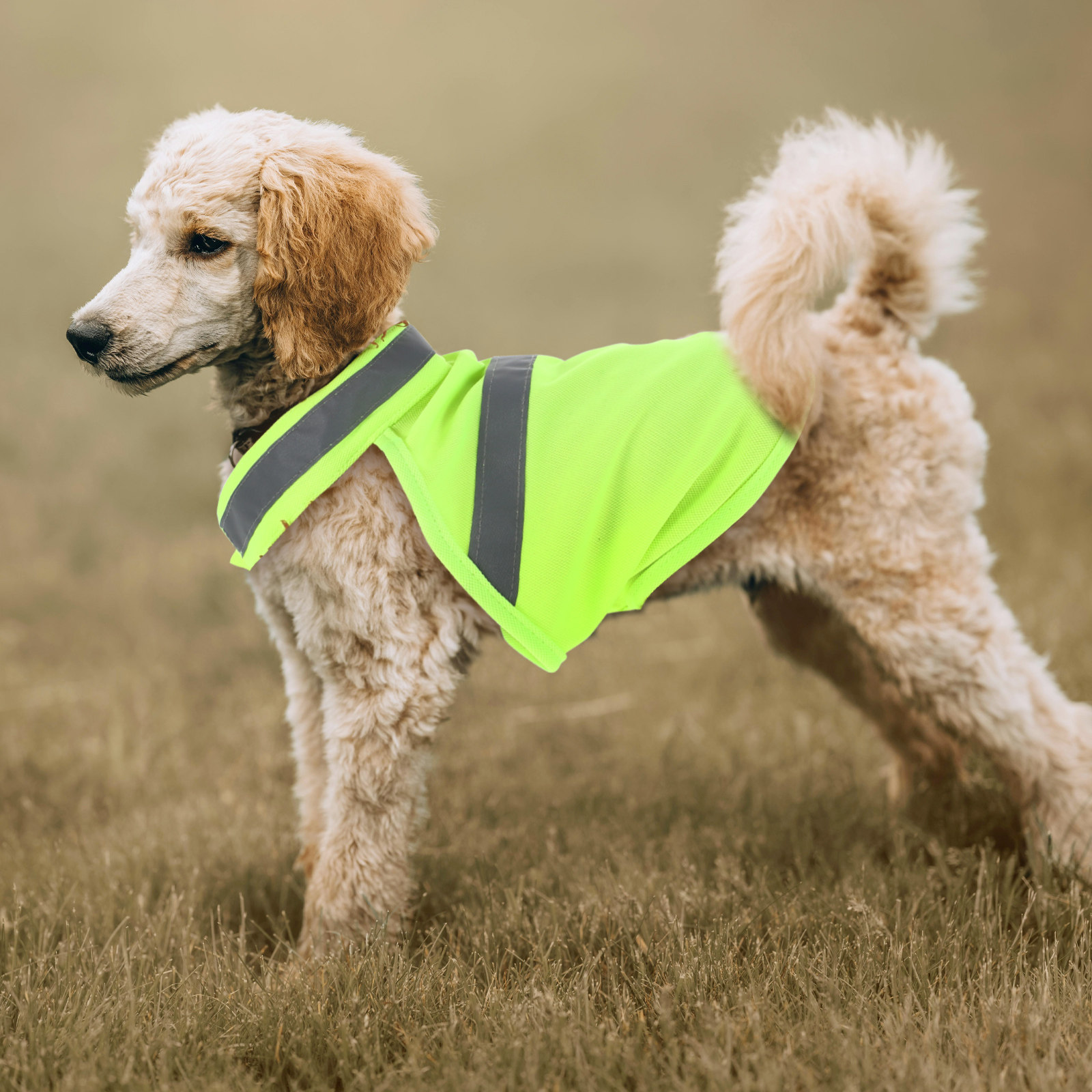 Colete de segurança refletor p - Hunting Dog Outdoor avaliação e preço